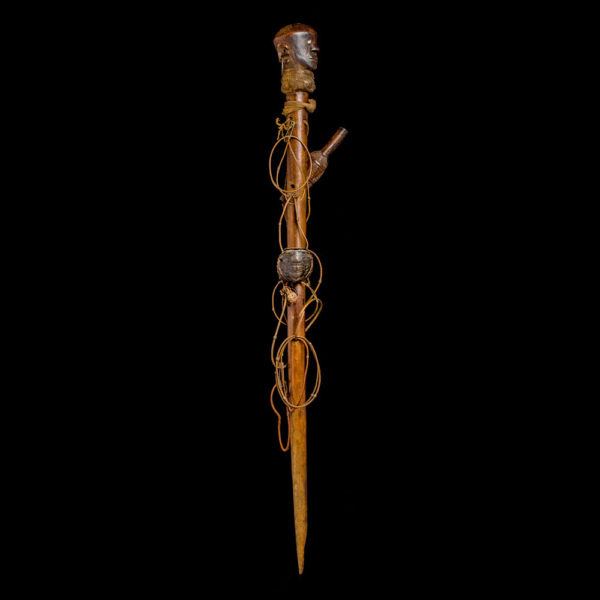 Century Gogo Diviner's staff